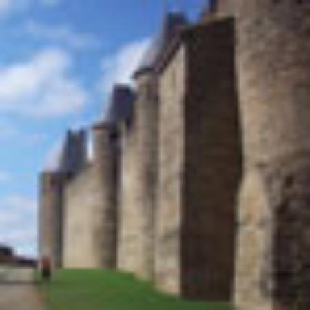 Le Meraviglie Del Mare